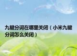 九键分词在哪里关闭（小米九键分词怎么关闭）
