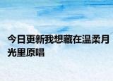 今日更新我想藏在温柔月光里原唱