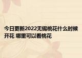 今日更新2022无锡桃花什么时候开花 哪里可以看桃花