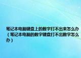 笔记本电脑键盘上的数字打不出来怎么办（笔记本电脑的数字键盘打不出数字怎么办）