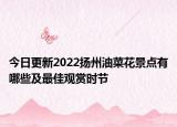 今日更新2022扬州油菜花景点有哪些及最佳观赏时节