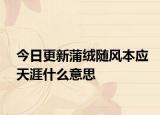 今日更新蒲绒随风本应天涯什么意思