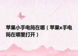 苹果小手电筒在哪（苹果x手电筒在哪里打开）