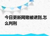 今日更新网赌被逮到,怎么判刑