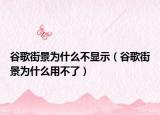 谷歌街景为什么不显示（谷歌街景为什么用不了）