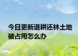 今日更新退耕还林土地被占用怎么办