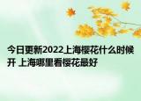 今日更新2022上海樱花什么时候开 上海哪里看樱花最好