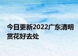 今日更新2022广东清明赏花好去处