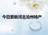今日更新河北沧州特产
