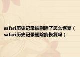 safari历史记录被删除了怎么恢复（safari历史记录删除能恢复吗）