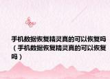 手机数据恢复精灵真的可以恢复吗（手机数据恢复精灵真的可以恢复吗）