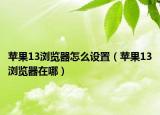 苹果13浏览器怎么设置（苹果13浏览器在哪）