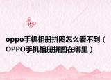 oppo手机相册拼图怎么看不到（OPPO手机相册拼图在哪里）