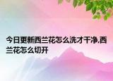 今日更新西兰花怎么洗才干净,西兰花怎么切开