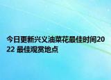 今日更新兴义油菜花最佳时间2022 最佳观赏地点