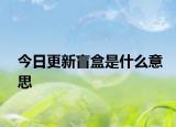 今日更新盲盒是什么意思