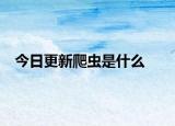 今日更新爬虫是什么