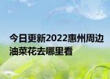 今日更新2022惠州周边油菜花去哪里看