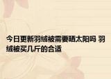 今日更新羽绒被需要晒太阳吗 羽绒被买几斤的合适