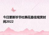 今日更新毕节杜鹃花最佳观赏时间2022