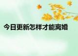 今日更新怎样才能离婚