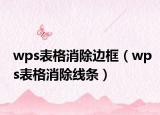 wps表格消除边框（wps表格消除线条）