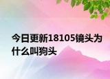 今日更新18105镜头为什么叫狗头
