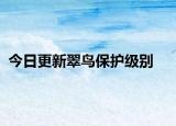 今日更新翠鸟保护级别