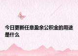 今日更新任意盈余公积金的用途是什么