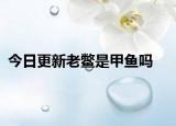 今日更新老鳖是甲鱼吗