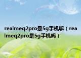 realmeq2pro是5g手机嘛（realmeq2pro是5g手机吗）