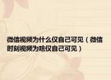 微信视频为什么仅自己可见（微信时刻视频为啥仅自己可见）