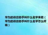 华为的语音助手叫什么名字来着（华为的语音助手叫什么名字怎么呼唤）