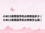小米11青春版手机分辨率是多少（小米11青春版手机分辨率怎么调）