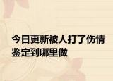 今日更新被人打了伤情鉴定到哪里做
