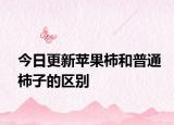 今日更新苹果柿和普通柿子的区别
