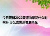 今日更新2022婺源油菜花什么时候开 怎么去婺源看油菜花