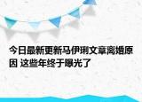 今日最新更新马伊琍文章离婚原因 这些年终于曝光了