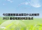 今日更新黟县油菜花什么时候开2022 最佳观赏时间及地点