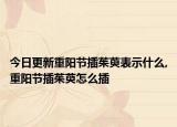 今日更新重阳节插茱萸表示什么,重阳节插茱萸怎么插