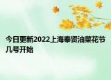 今日更新2022上海奉贤油菜花节几号开始