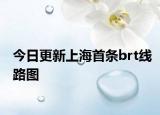今日更新上海首条brt线路图