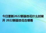 今日更新2022新疆杏花什么时候开 2022新疆杏花在哪看