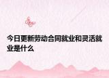 今日更新劳动合同就业和灵活就业是什么