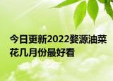今日更新2022婺源油菜花几月份最好看