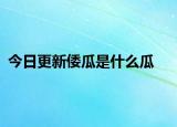 今日更新倭瓜是什么瓜