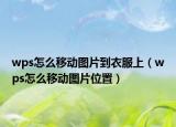 wps怎么移动图片到衣服上（wps怎么移动图片位置）
