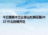 今日更新木兰云雾山杜鹃花期2022 什么时候开花