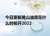 今日更新黄山油菜花什么时候开2022
