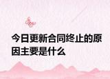 今日更新合同终止的原因主要是什么